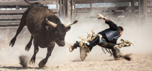 Man falls off a bull during a bull riding show