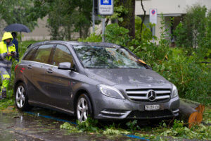 Grey car damaged by fallen tree