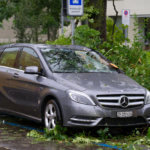 Grey car damaged by fallen tree